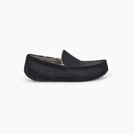 UGG Ascot Wool - Tøfler Herre - Svart (NO-M605)